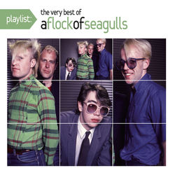 A FLOCK OF SEAGULLS