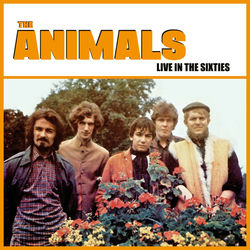 ANIMALS