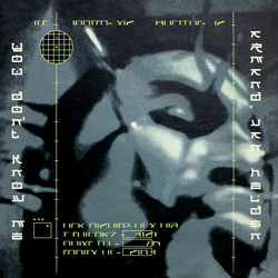 ARMAND VAN HELDEN