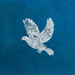 COLDPLAY