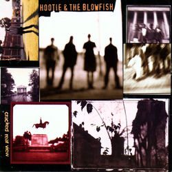 HOOTIE AND THE BLOWFISH