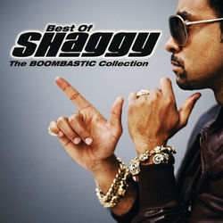 SHAGGY