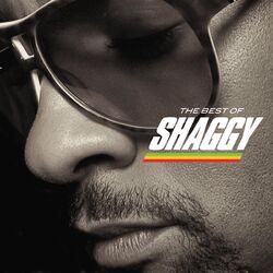 SHAGGY