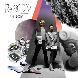 ROYKSOPP