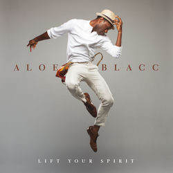 AVICII FT. ALOE BLACC