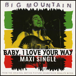 BIG MOUNTAIN