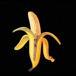 DANDY WARHOLS
