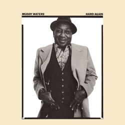MUDDY WATERS