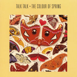 TALK TALK