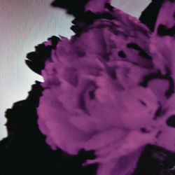 TIËSTO FT. JOHN LEGEND