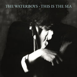 WATERBOYS