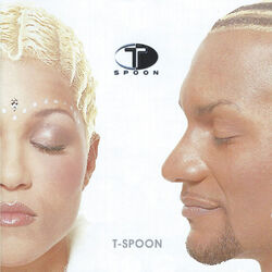 T-SPOON