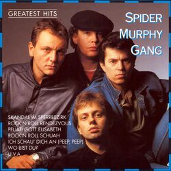 SPIDER MURPHY GANG