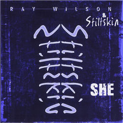 STILSKIN