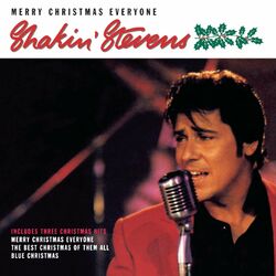 SHAKIN STEVENS
