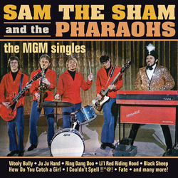 SAM THE SHAM