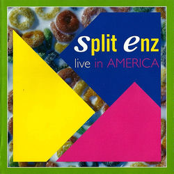 SPLIT ENZ