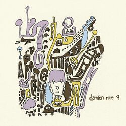 DAMIEN RICE
