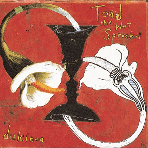 TOAD THE WET SPROCKET
