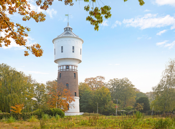 Dwars Door De Ochtend
